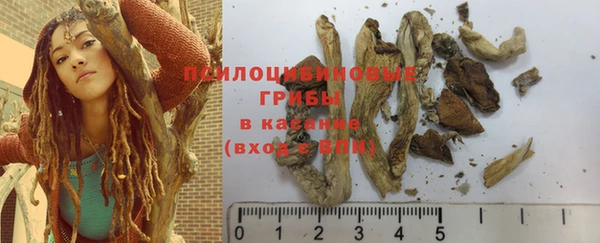молекула духа Абдулино