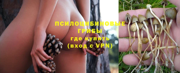 молекула духа Абдулино