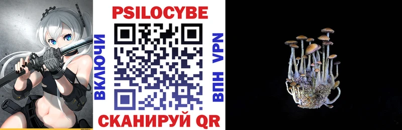 Галлюциногенные грибы мицелий  цена   Камень-на-Оби 