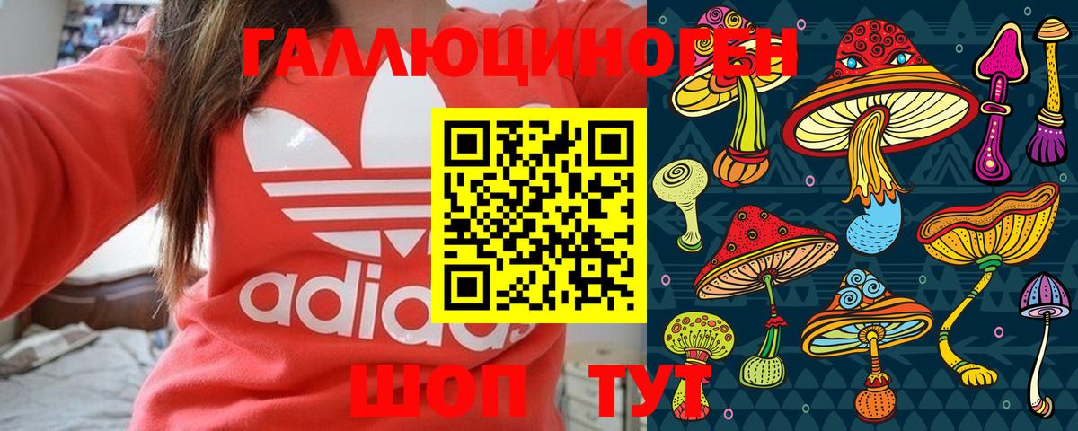 купить   Галлюциногенные грибы Psilocybe  Вход с VPN  Камень-на-Оби 